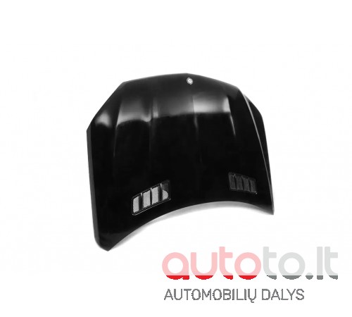 GLS X166 2015 – 2019 variklio dangtis